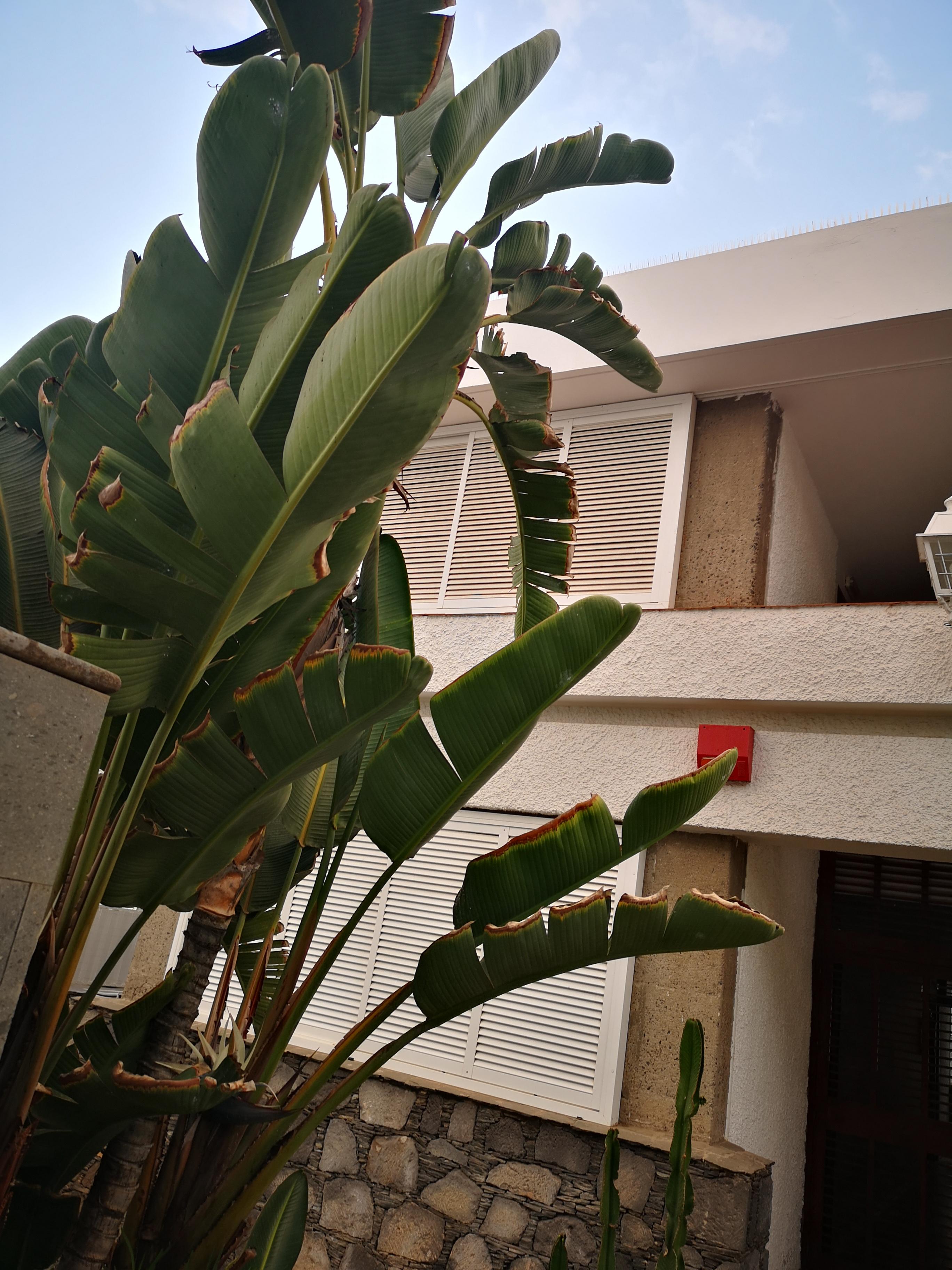 Apartamentos Tamara Maspalomas  Ngoại thất bức ảnh